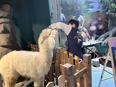 -重庆欢乐海底世界