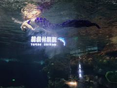 -沙沙哗啦海洋馆(华宇百花谷店)