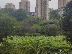 -龙头寺公园