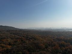 -灵谷景区