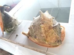 -海盗餐厅