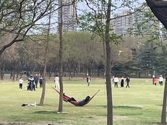 -泰丰公园