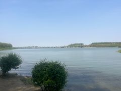 -丁香湖公园