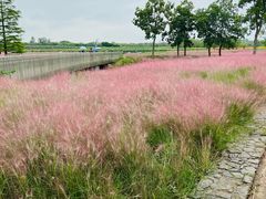-江苏三台山国家森林公园
