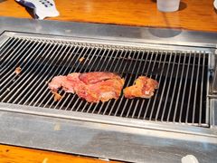 -大鹅岛绿色生态美食园