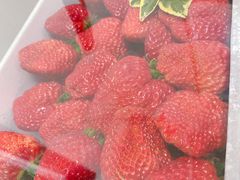 -鲜力达果品批发直销(青山店)
