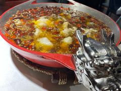 -雲蜀龙阁·金牌水煮鱼(方庄店)