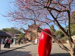 -瑞安圣井山景区