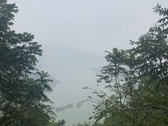 -铁山坪森林公园