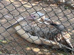 -石家庄市动物园