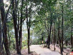 -梧桐山风景名胜区