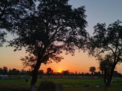 -汉长安城未央宫国家考古遗址公园