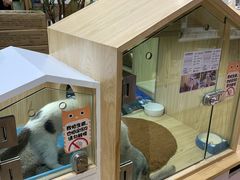 -屋虎猫馆(宝安大仟里店)