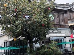 -星巴克臻选(扬州瘦西湖文化广场店)