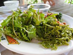 野菜拼盘-京北渔家傲