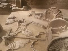 -洛阳周王城天子驾六博物馆