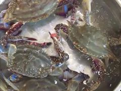 -王潮活海鲜自助·蒸汽海鲜