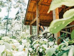 -重庆雨台山风景区