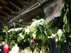 大堂-北平盛世·新京菜·北京烤鸭(劲松·双井店)