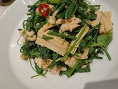 橄榄油鲜腐竹拌丝瓜尖-北平楼·烤鸭·北京菜(牡丹园店)