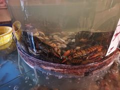 -大东方海鲜酒楼(小武基桥店)