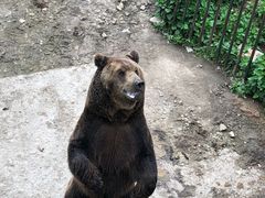 -哈尔滨北方森林动物园