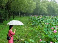 -东郊湿地公园