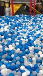 -爱丽丝奇幻乐园