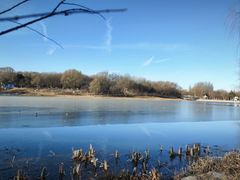 -大兴滨河森林公园