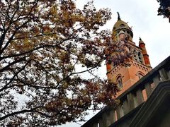 -上海佘山国家森林公园西佘山园