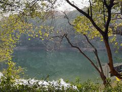 -杭州半山国家森林公园