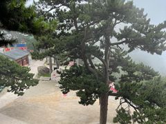 -妙峰山风景名胜区