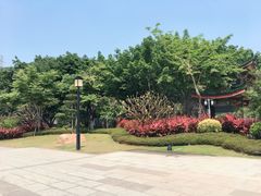 -仙岳公园