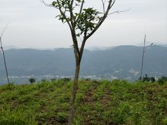 -仙岛湖旅游风景区