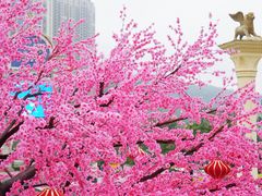 -澳门威尼斯人综合度假区