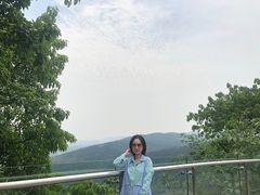 -铁山坪森林公园