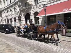 -布拉迪斯拉发城堡