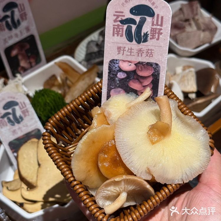 不在云南 在上海 涨见识了