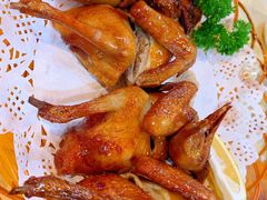 红烧乳鸽-一煲鸽