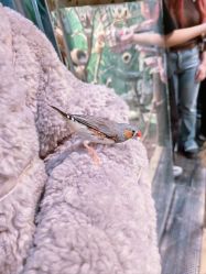 -Zoolung Zoolung动物主题公园(海信广场店)