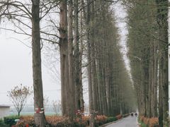 -乌龙涧铁道铁轨景