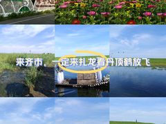 -黑龙江扎龙生态旅游区