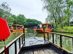 -溱湖国家湿地公园