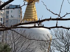 -护国法轮寺