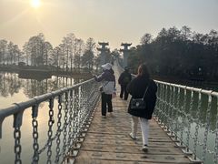 -东湖落雁景区