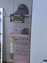 -Echo·回声专注男士发型设计