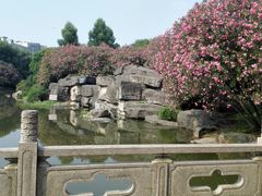 -河泥荡文化公园