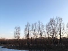 -东郊湿地公园