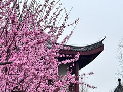-堤角公园
