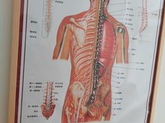 -杏林康桥中医正骨·体态矫正·跌打损伤·推拿按摩(国贸建外SOHO店)